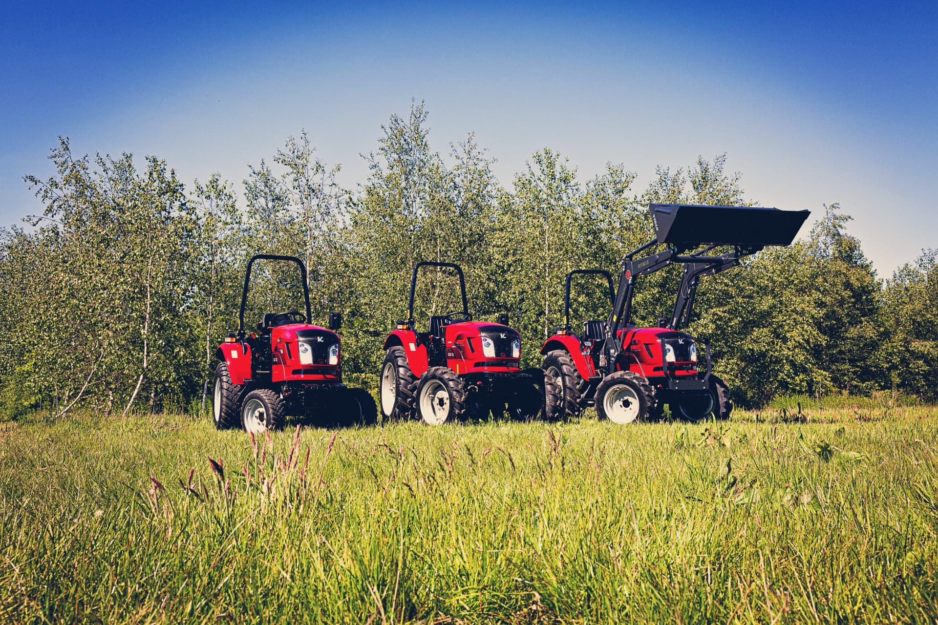 Drie rode dieseltractoren in een weiland